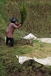 IMG_8945