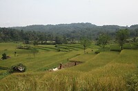 IMG_8947