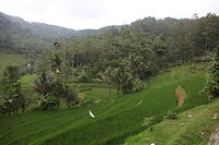 IMG_8952