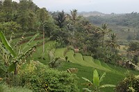IMG_8960