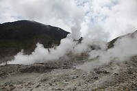 IMG_9106