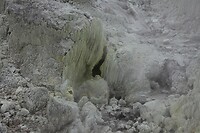 IMG_9135