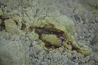 IMG_9136