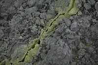 IMG_9141