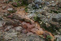 IMG_9152