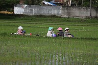 IMG_9197