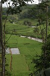 IMG_9203