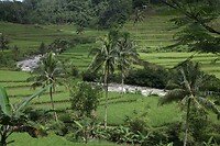 IMG_9208