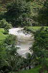 IMG_9209