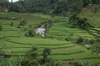 IMG_9210