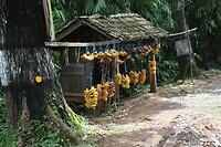 IMG_9214