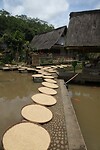 IMG_9231