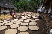IMG_9258