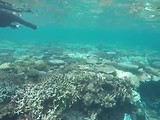 Dag 4 Great Barrier Reef