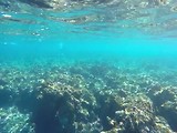 Dag 15 tweede dag cruise Fiji