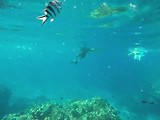 Dag 15 tweede dag cruise Fiji