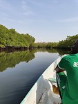 Varen door de mangroves in Makasutu Forest