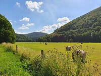 Richting de Rursee