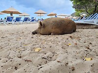 Playa Porto Marie