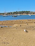 Alvor