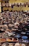 Tannery Couara