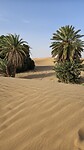 Aan de rand van de Sahara