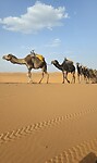 Sahara desert