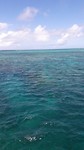 The greast barrier reef
