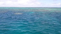The great barrier reef