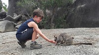 Wallaby rock