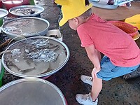 IMG-20231114-WA0138
