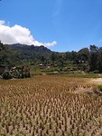 IMG_20190821_114427