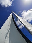 IMG_20190928_094828