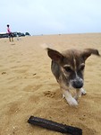 IMG_20191205_162515