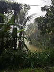 IMG_20191205_141821