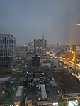 1000041658