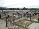 countrymarkt Mundijong