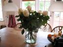 vogels en bloemen in Australie 038