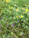 een wandeling 004