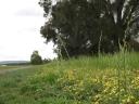 een wandeling 006
