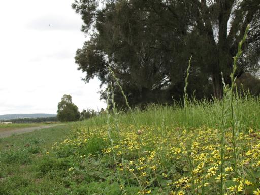 een wandeling 006