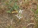 een wandeling 011