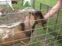 een wandeling 012
