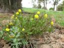 een wandeling 009