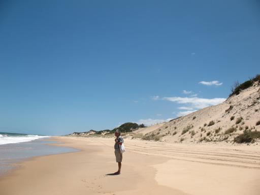 hoge duinen , kleine man