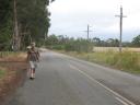 Albany enz. 045