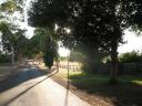 Albany enz. 066