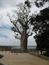 Kingspark