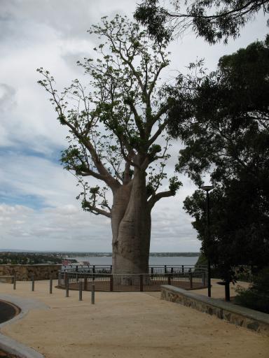 Kingspark