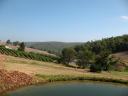 een rozentuin , Kingspark en een Winery 013